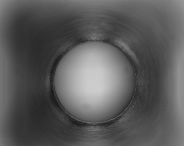 X0000089890250200706281116