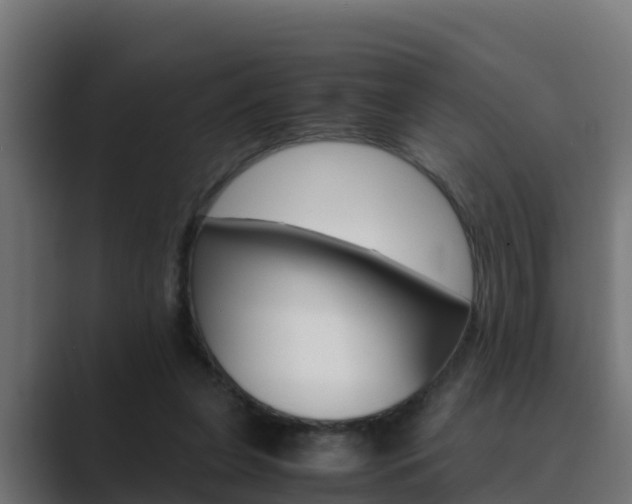 X0000089890255200706281116