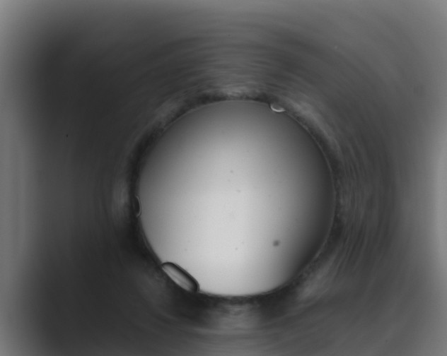 X0000089890260200706281116