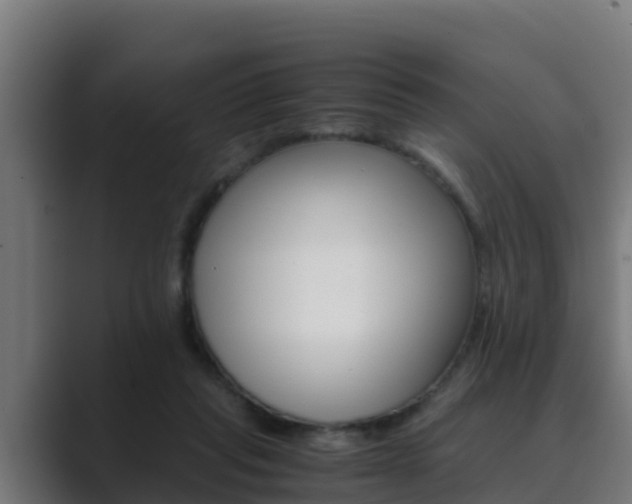 X0000089890261200706281116