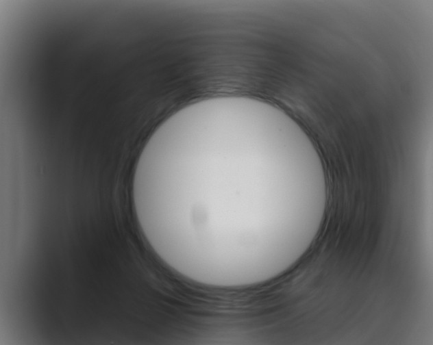 X0000089890264200706281116
