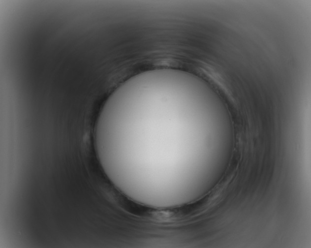 X0000089890265200706281116