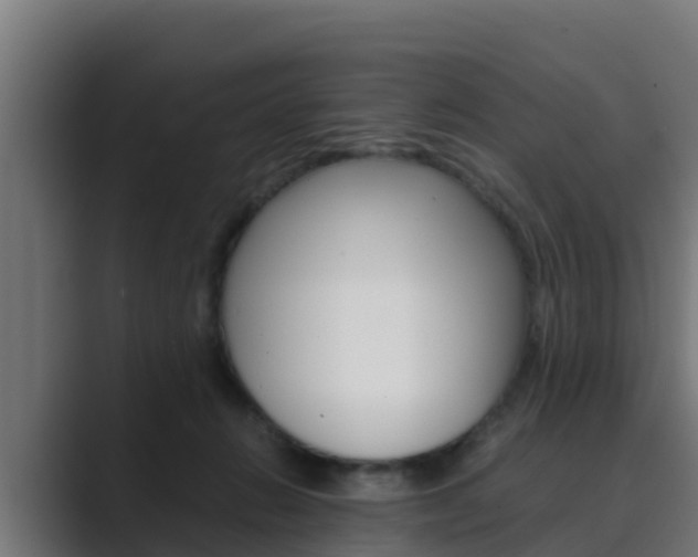 X0000089890270200706281116
