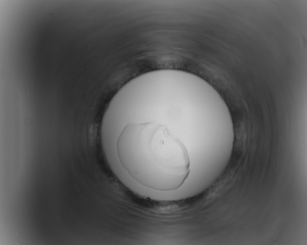 X0000089890278200706281116