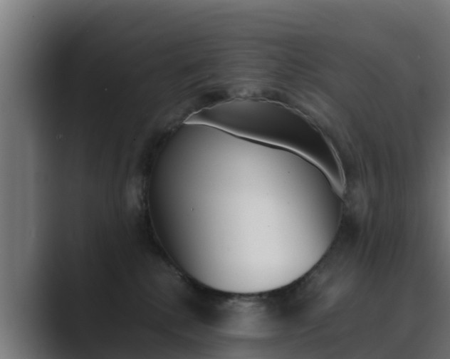 X0000089890280200706281116