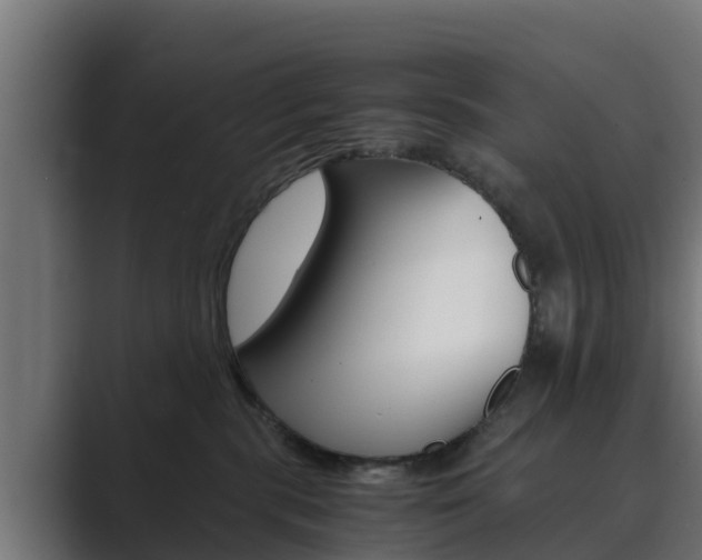 X0000089890283200706281116