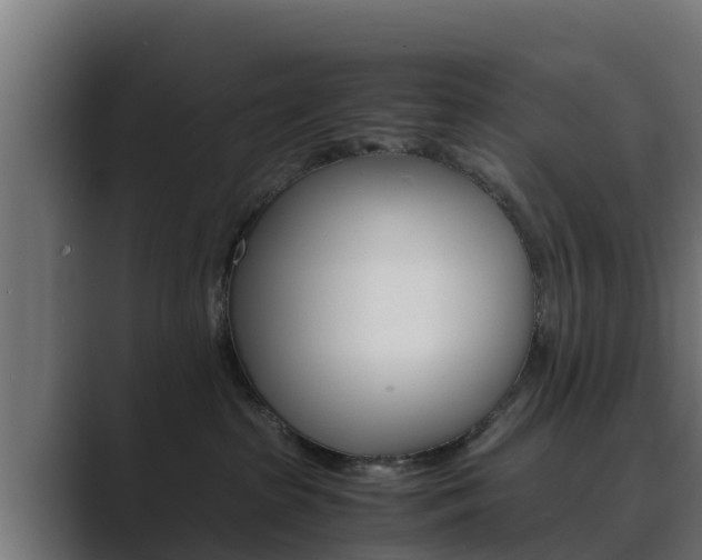 X0000089890285200706281116