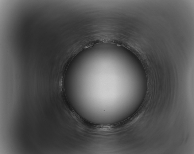 X0000089890288200706281116