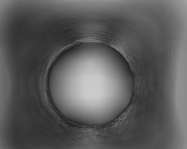 X0000089890289200706281116