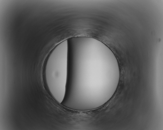X0000089890290200706281116