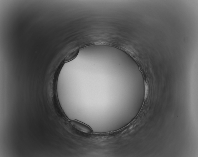 X0000089890291200706281116
