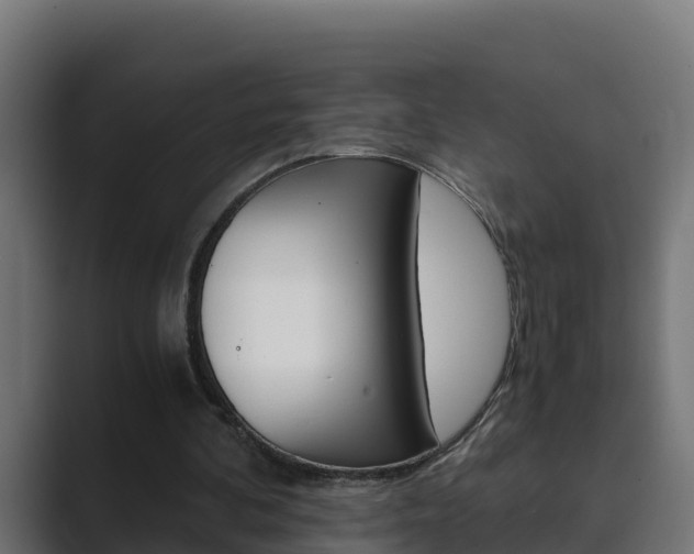 X0000089890292200706281116