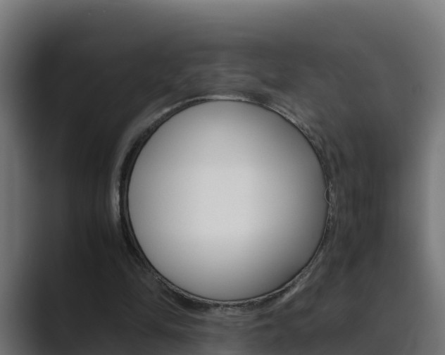 X0000089890294200706281116