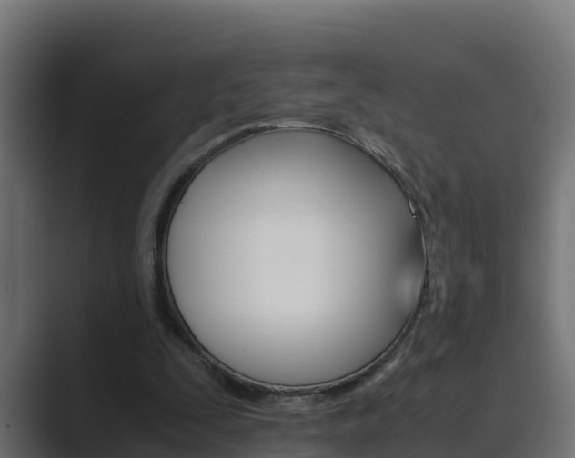 X0000089890295200706281116