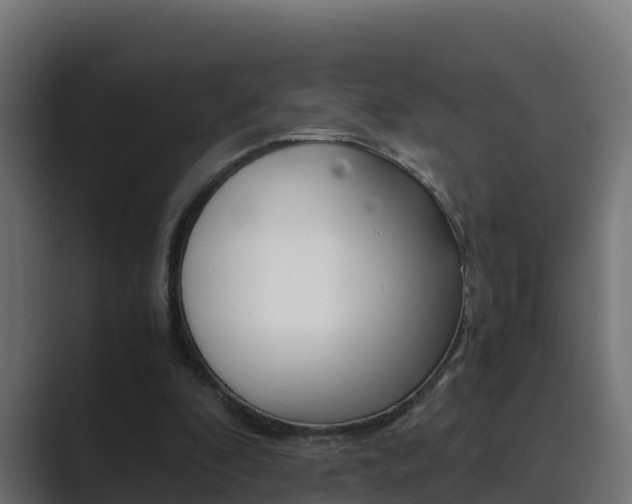 X0000089890296200706281116