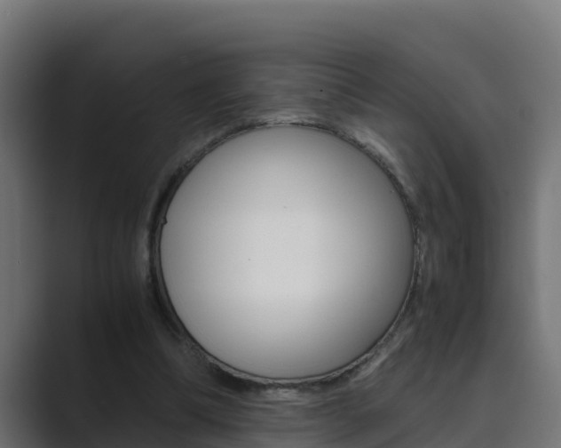 X0000089890298200706281116
