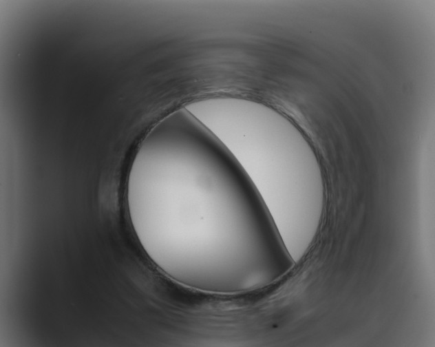 X0000089890299200706281116