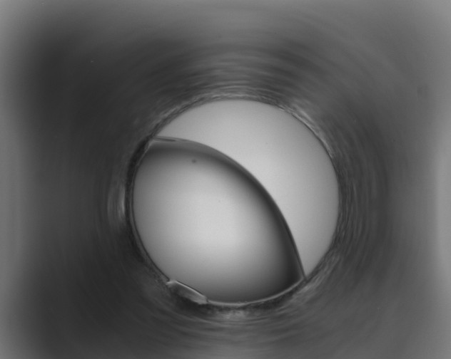 X0000089890301200706281116