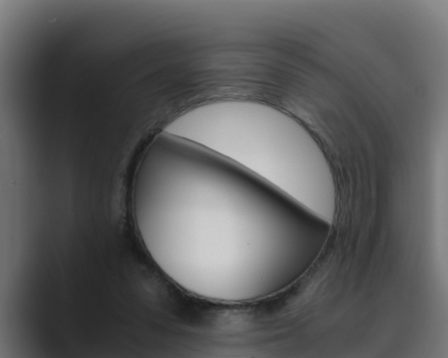 X0000089890303200706281116
