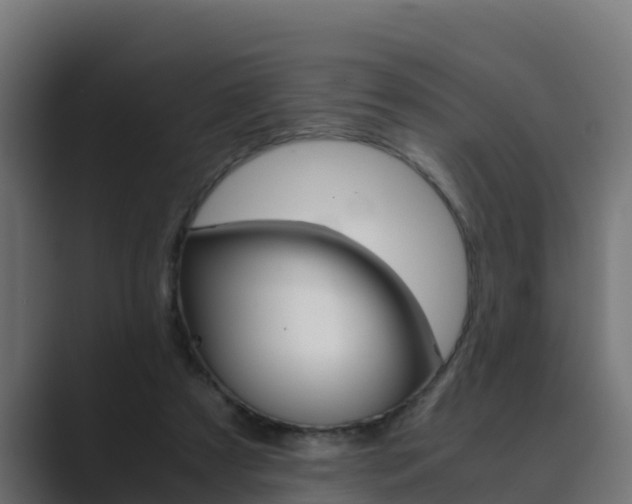 X0000089890305200706281116
