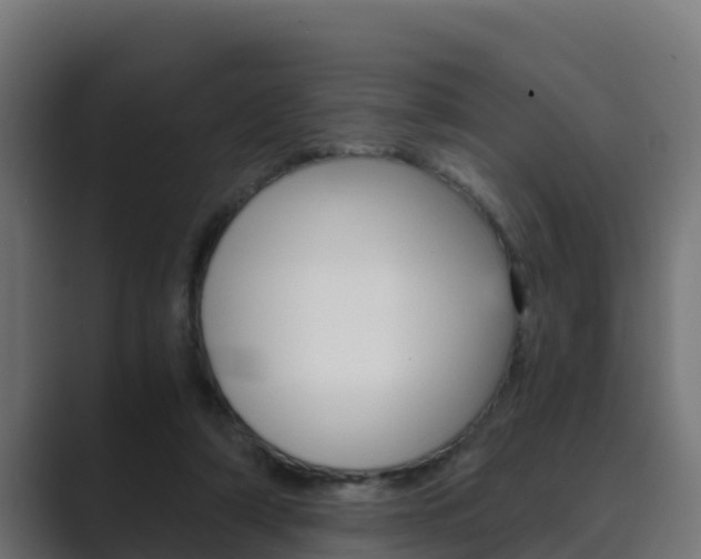 X0000089890306200706281116
