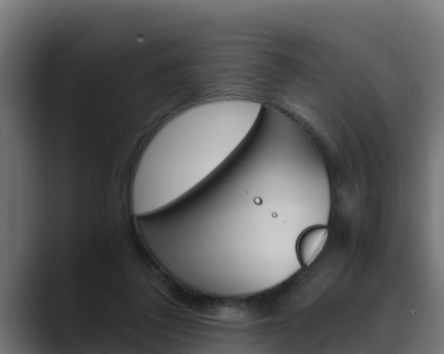 X0000089890308200706281116