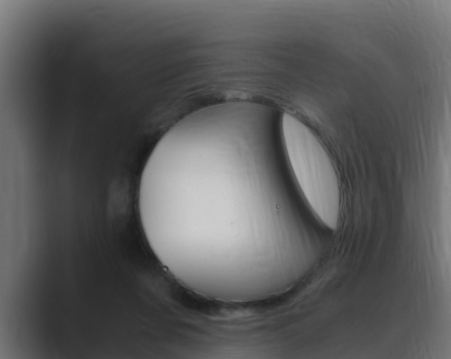 X0000089890311200706281116