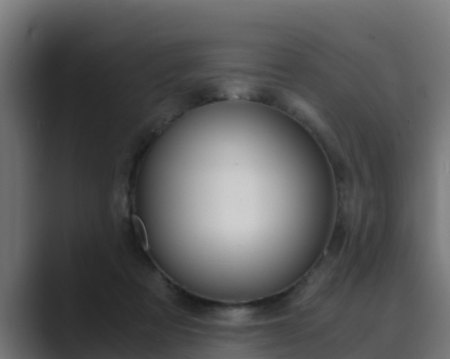 X0000089890313200706281116