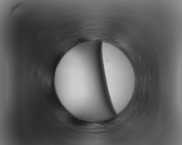 X0000089890315200706281116