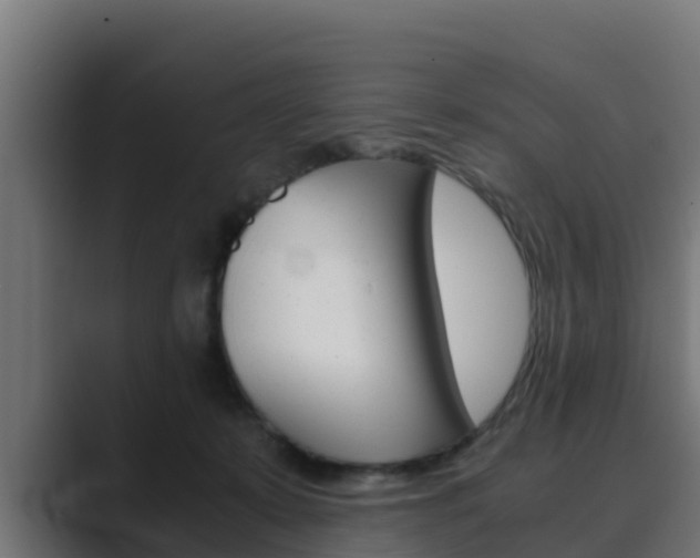X0000089890319200706281115