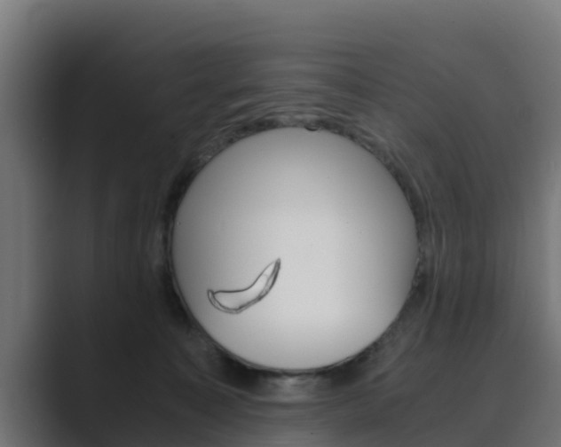 X0000089890323200706281115