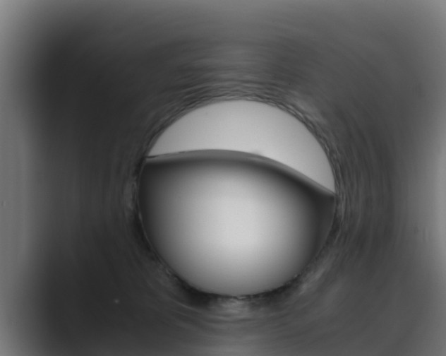 X0000089890325200706281115