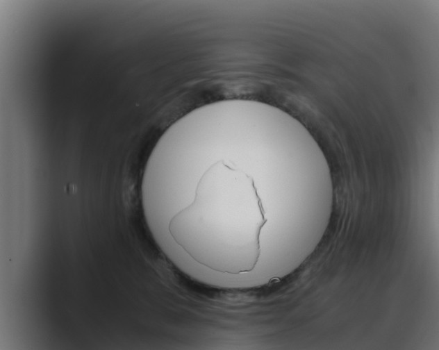 X0000089890327200706281115