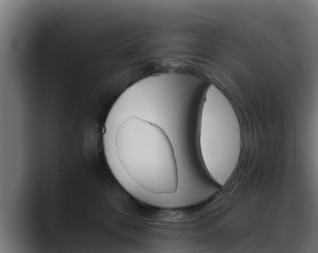 X0000089890328200706281115