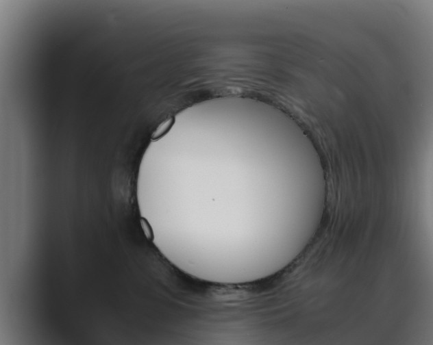 X0000089890331200706281115