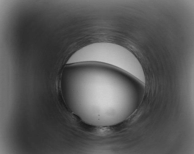 X0000089890333200706281115