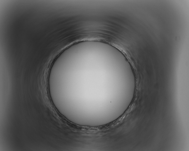 X0000089890337200706281115