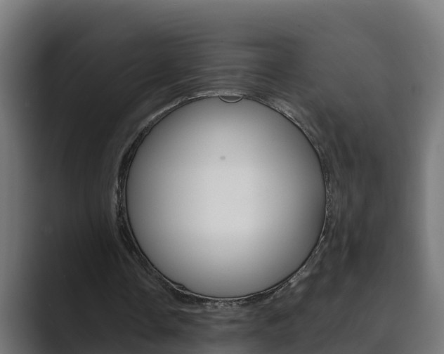 X0000089890338200706281115