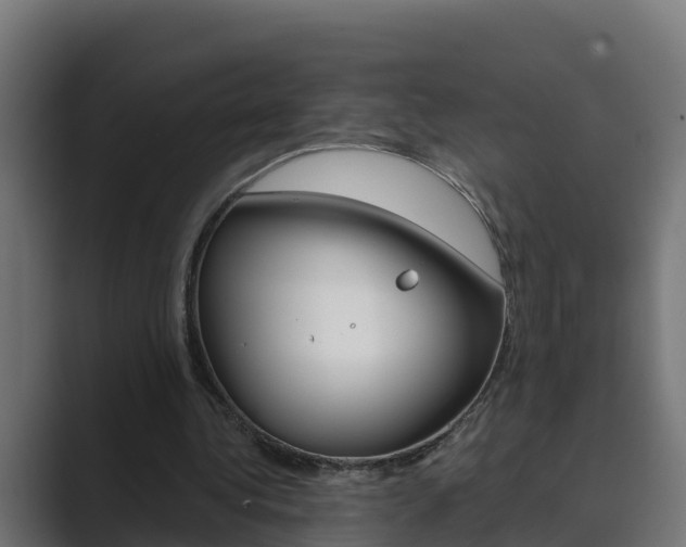 X0000089890340200706281115