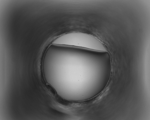 X0000089890341200706281115