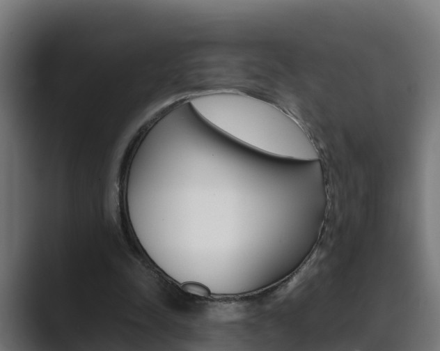 X0000089890342200706281115
