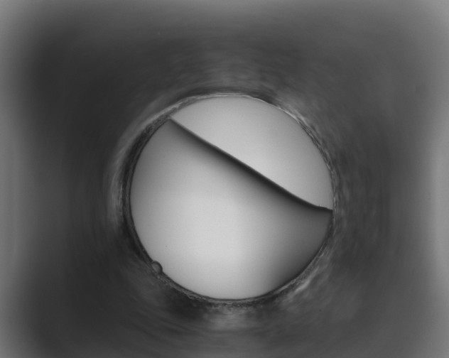 X0000089890343200706281115