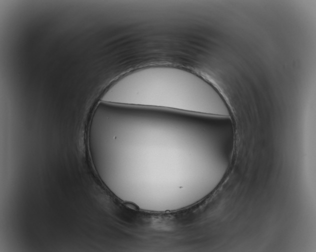 X0000089890345200706281115