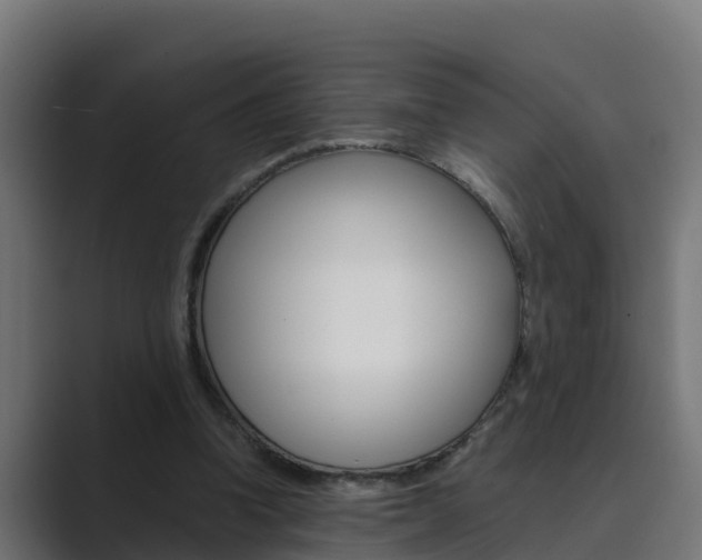 X0000089890346200706281115