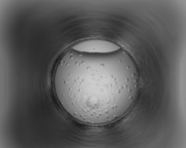 X0000089890347200706281115