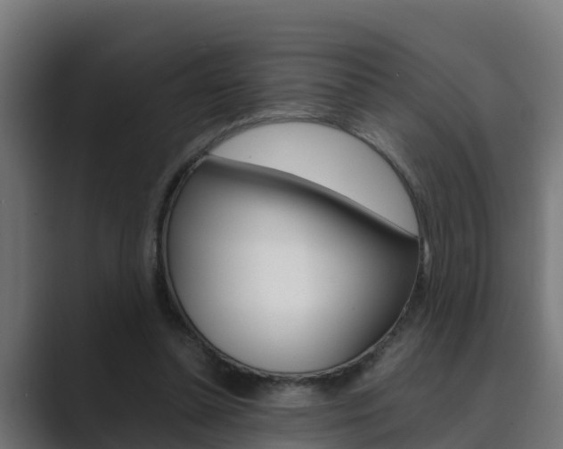 X0000089890348200706281115
