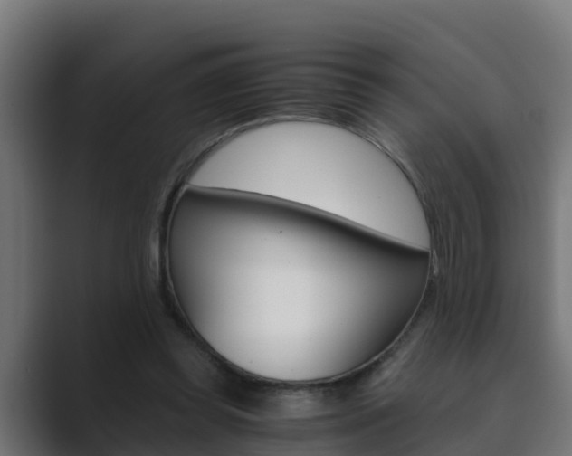 X0000089890349200706281115