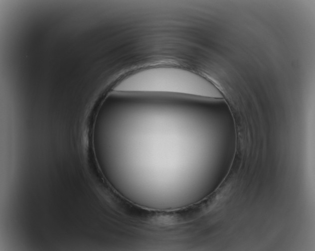 X0000089890350200706281115