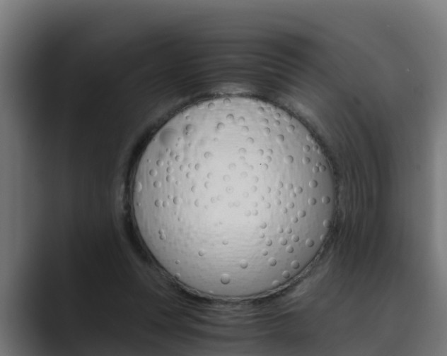 X0000089890351200706281115