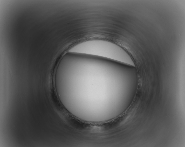 X0000089890352200706281115